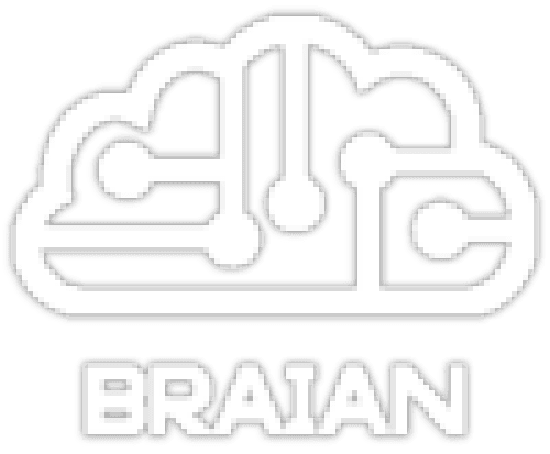 BraianOS Logo